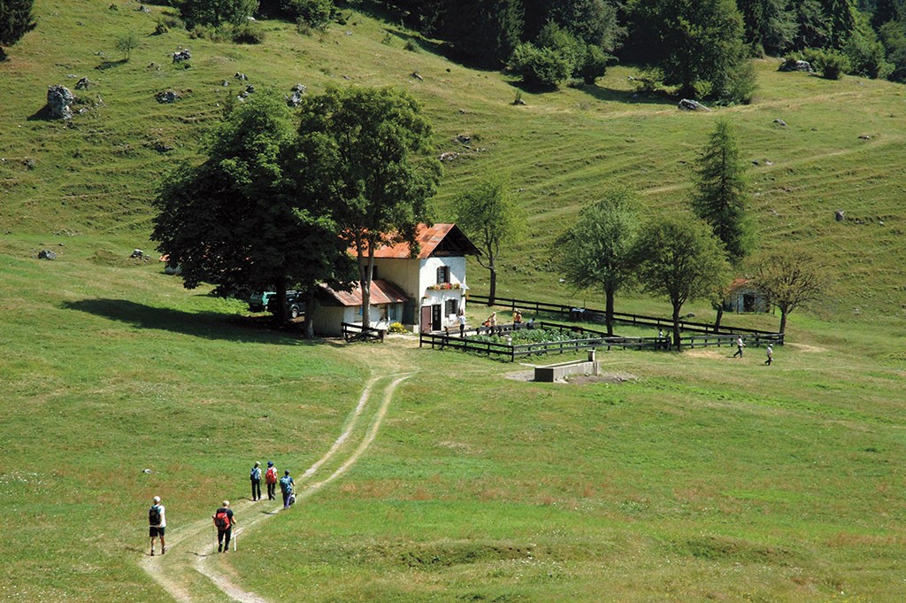 Cembartal im Trentino