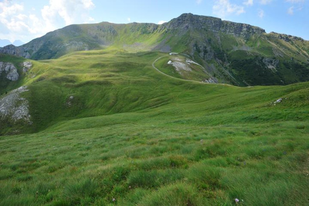 Alpe di Pampeago bei Predazzo